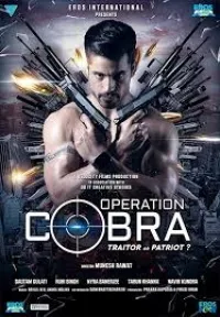 Постер сериала Операция «Кобра»