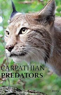Постер сериала Карпатские хищники