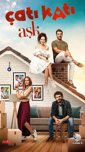 Постер сериала Любовь на крыше
