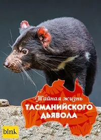 Постер сериала Тайная жизнь тасманийского дьявола