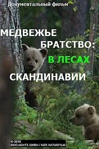 Постер сериала Медвежье братство. В лесах Скандинавии