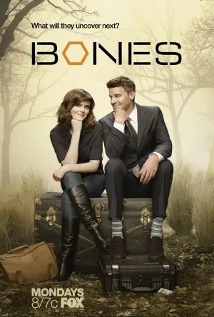 Постер сериала Кости, 2 сезон