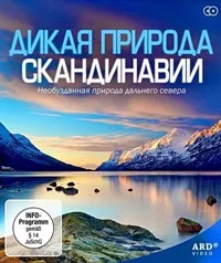 Постер сериала Дикая природа Скандинавии
