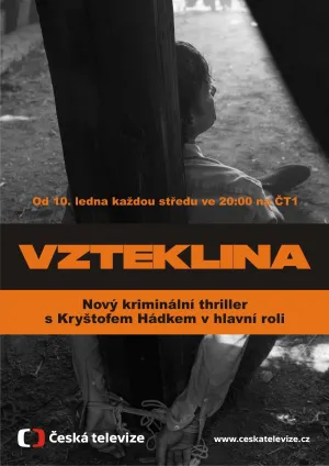 Постер сериала Бешенство (2018)