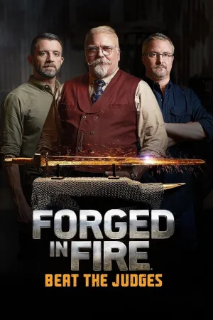 Постер сериала Между молотом и наковальней: Мастера против судей