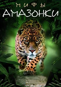 Постер сериала Мифы Амазонки