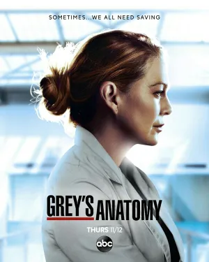 Постер сериала Анатомия страсти, 17 сезон