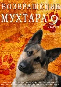 Постер сериала Возвращение Мухтара, 9 сезон