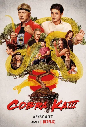 Постер сериала Кобра Кай, 3 сезон