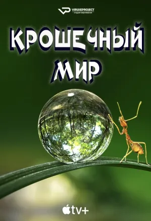 Постер сериала Крошечный мир