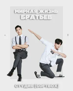 Постер сериала Мирная жизнь братьев