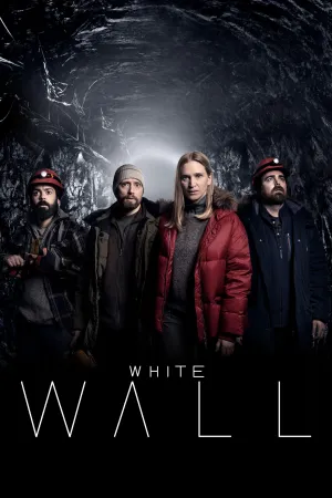 Постер сериала Белая стена