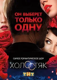 Постер сериала Холостяк (ТВ)