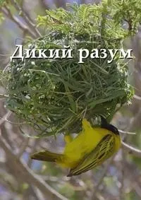 Постер сериала Дикий разум