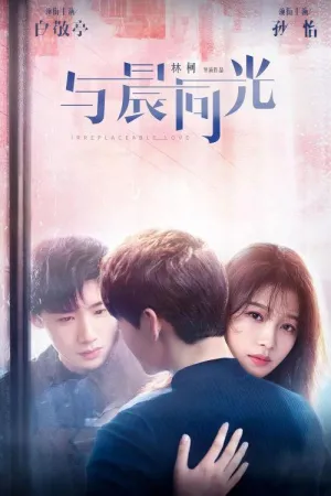 Постер сериала Незаменимая любовь