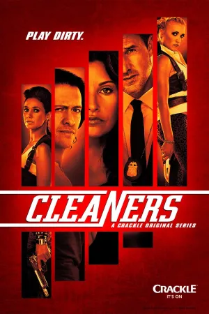 Постер сериала Чистильщики