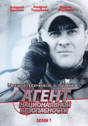 Постер сериала Агент национальной безопасности