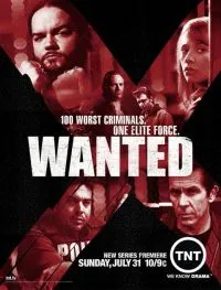 Постер сериала Объявлен в розыск