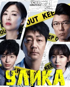 Постер сериала Улика (Япония)