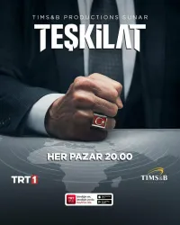 Постер сериала Организация