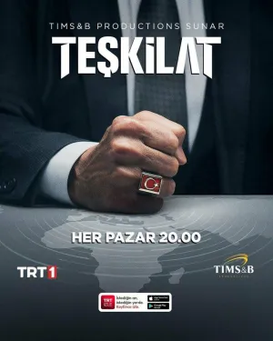 Постер сериала Организация