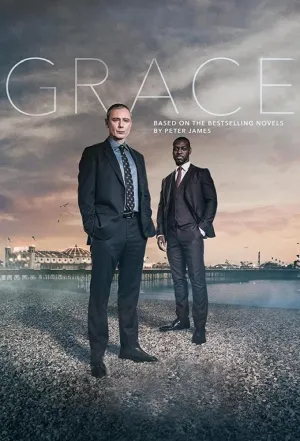 Постер сериала Детектив Рой Грейс