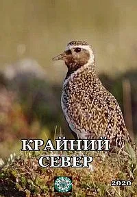Постер сериала Крайний север