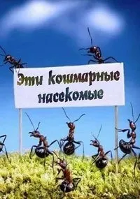 Постер сериала Эти кошмарные насекомые
