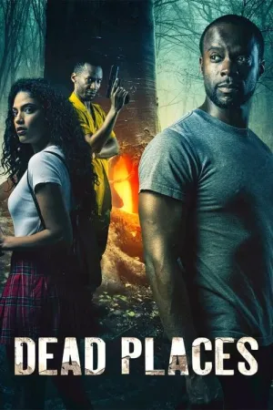 Постер сериала Лабиринт страха
