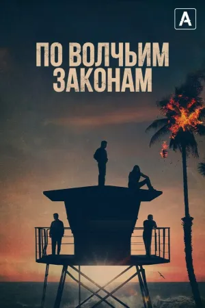 Постер сериала По волчьим законам, 5 сезон