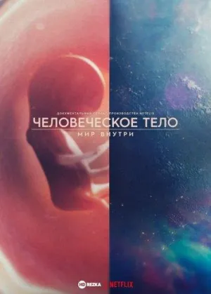 Постер сериала Человеческое тело: мир внутри