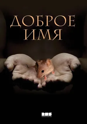 Постер сериала Доброе имя