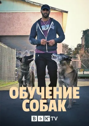 Постер сериала Обучение собак