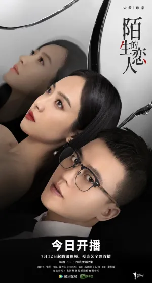 Постер сериала Возлюбленный незнакомец