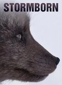 Постер сериала Рожденные бурей