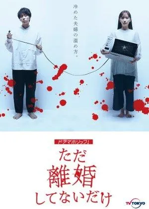 Постер сериала Мы просто не в разводе
