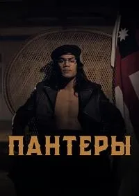 Постер сериала Пантеры