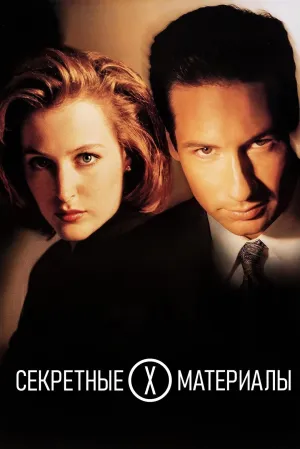 Постер сериала Секретные материалы, 2 сезон