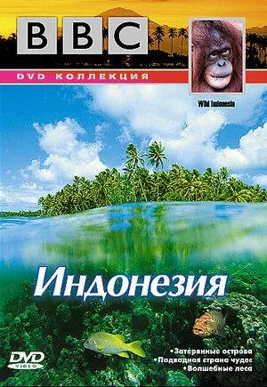Постер сериала По странам и континентам. Дикая Индонезия