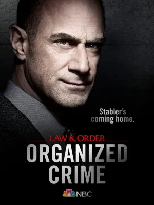 Постер сериала Закон и порядок: организованная преступность, 2 сезон