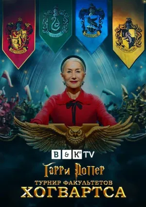 Постер сериала Гарри Поттер: Турнир факультетов Хогвартса