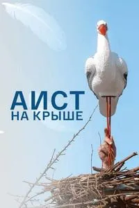 Постер сериала Аист на крыше