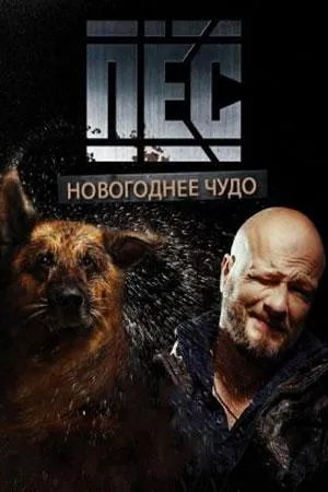 Постер сериала Новогодний Пес
