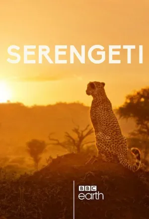 Постер сериала Серенгети, 2 сезон