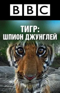 Постер сериала Тигр: Шпион джунглей