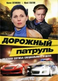 Постер сериала Дорожный патруль, 9 сезон