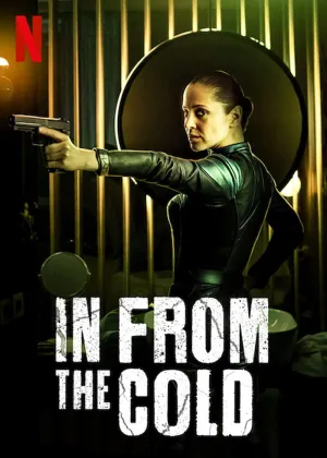 Постер сериала С холода