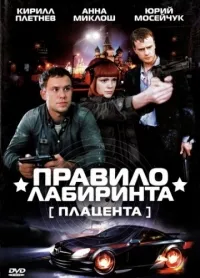 Постер сериала Правило лабиринта: Плацента
