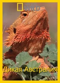Постер сериала Дикая Австралия