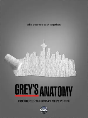Постер сериала Анатомия страсти, 8 сезон